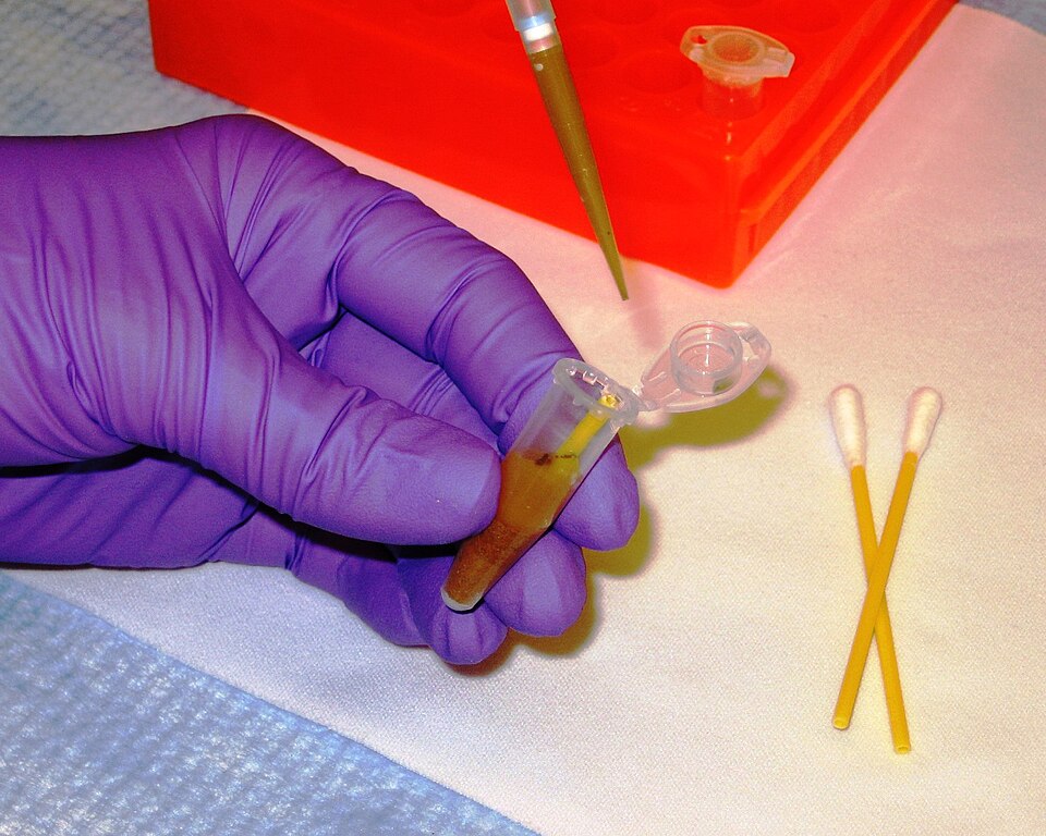 Laboratory technician using a pipette